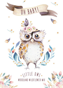  Oh Baby Owl Woodland  Bouquet Wildflower Mix - Bentley Seed Co.