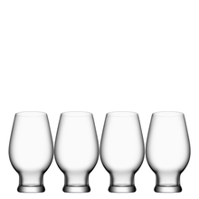  Beer-IPA (Set of 4)