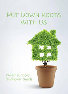  Put Down Your Roots - Dwarf Sunflower Seed Packets - Bentley Seed Co.