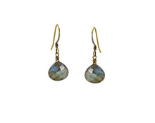  Labradorite Stone Earrings Simple Classic Colorful - Edgy Petal Jewelry